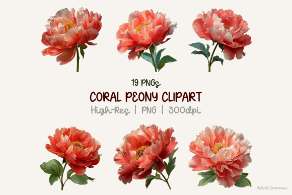 Integrating Coral Peony Clipart 19 Png into Professional Creative Workflows