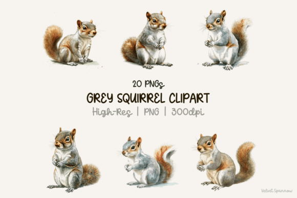 Unlock Creative Potential with Premium Grey Squirrel Clipart 20 Png Assets